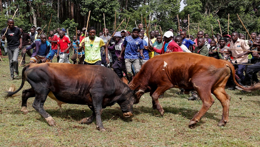 Popular cultural activities in Kenya