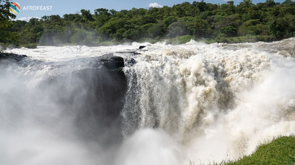 National parks: Uganda