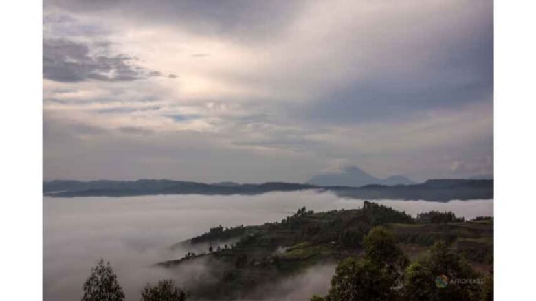 Bwindi-Impenetrable-Forest