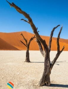 Deadvlei