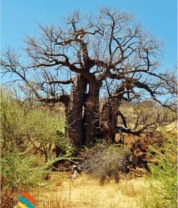 Kaokoland, Namibia