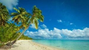 a beach with palm trees and blue water