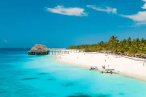 A beautiful beach with turquoise waters, white sand, and a thatched wooden pier extending into the ocean, surrounded by palm trees.